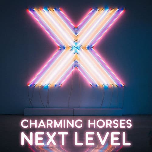 Album cover art for Next Level
