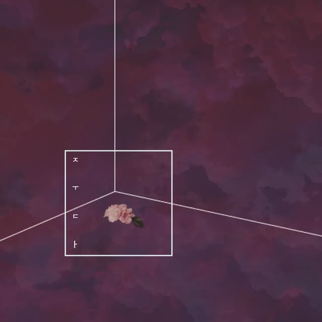 Album cover art for 꽃