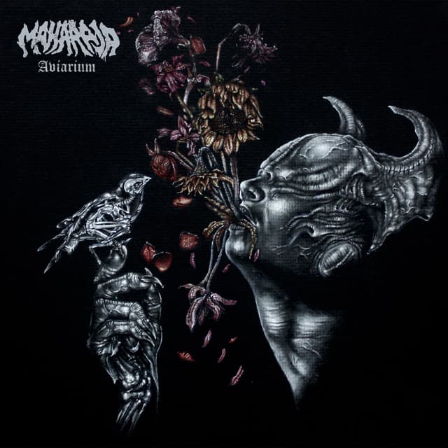 Album cover art for Aviarium