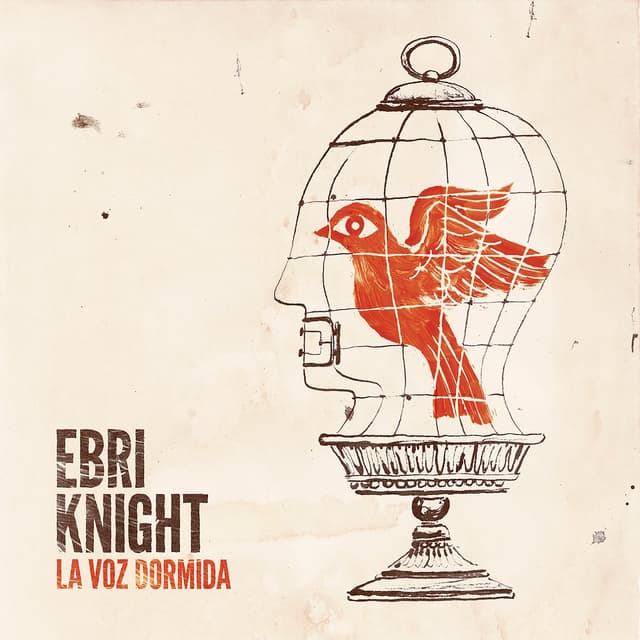 Album cover art for La Voz Dormida