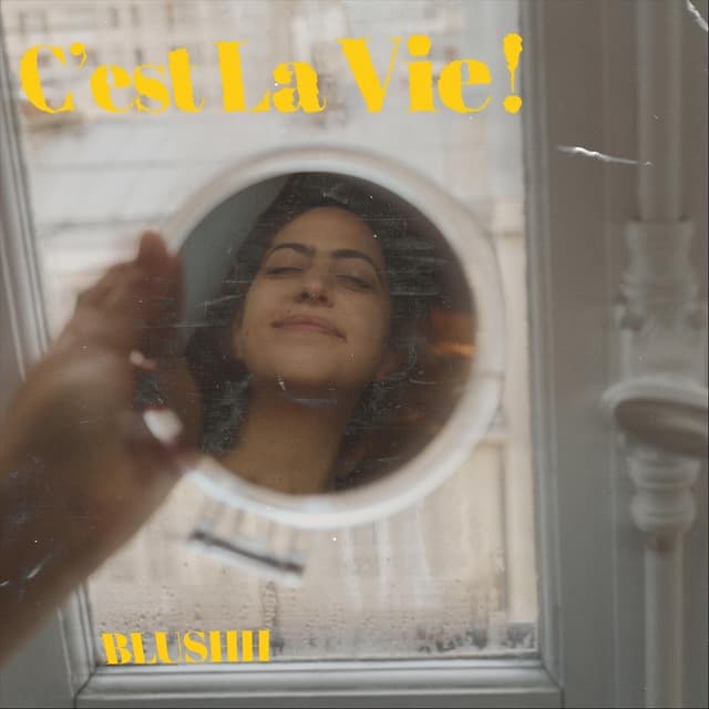 Album cover art for C'est La Vie!