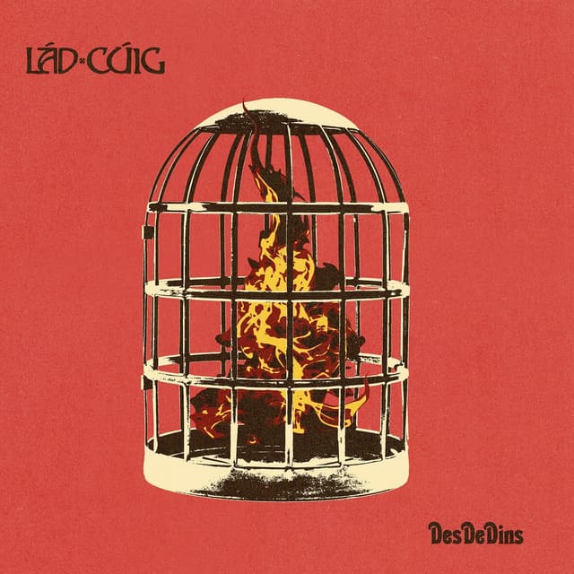 Album cover art for Des de Dins