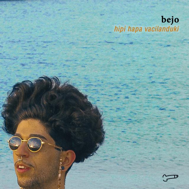 Album cover art for Hipi hapa vacilanduki