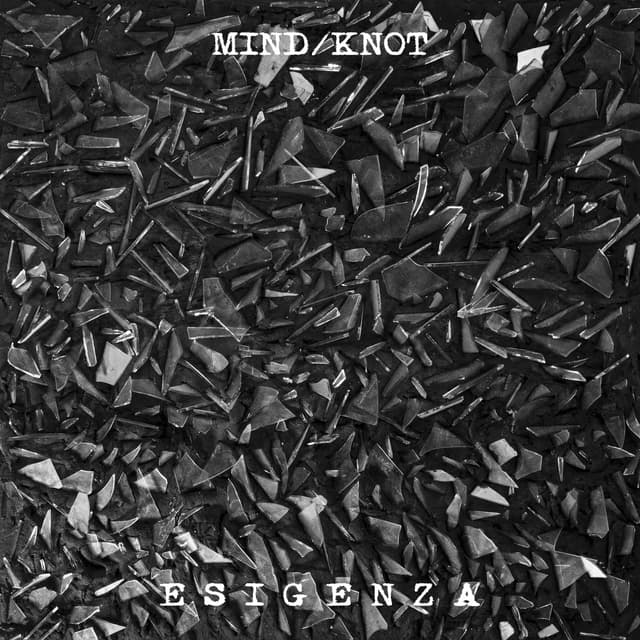 Album cover art for Esigenza