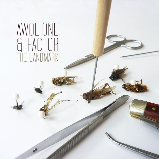 Album cover art for The Landmark