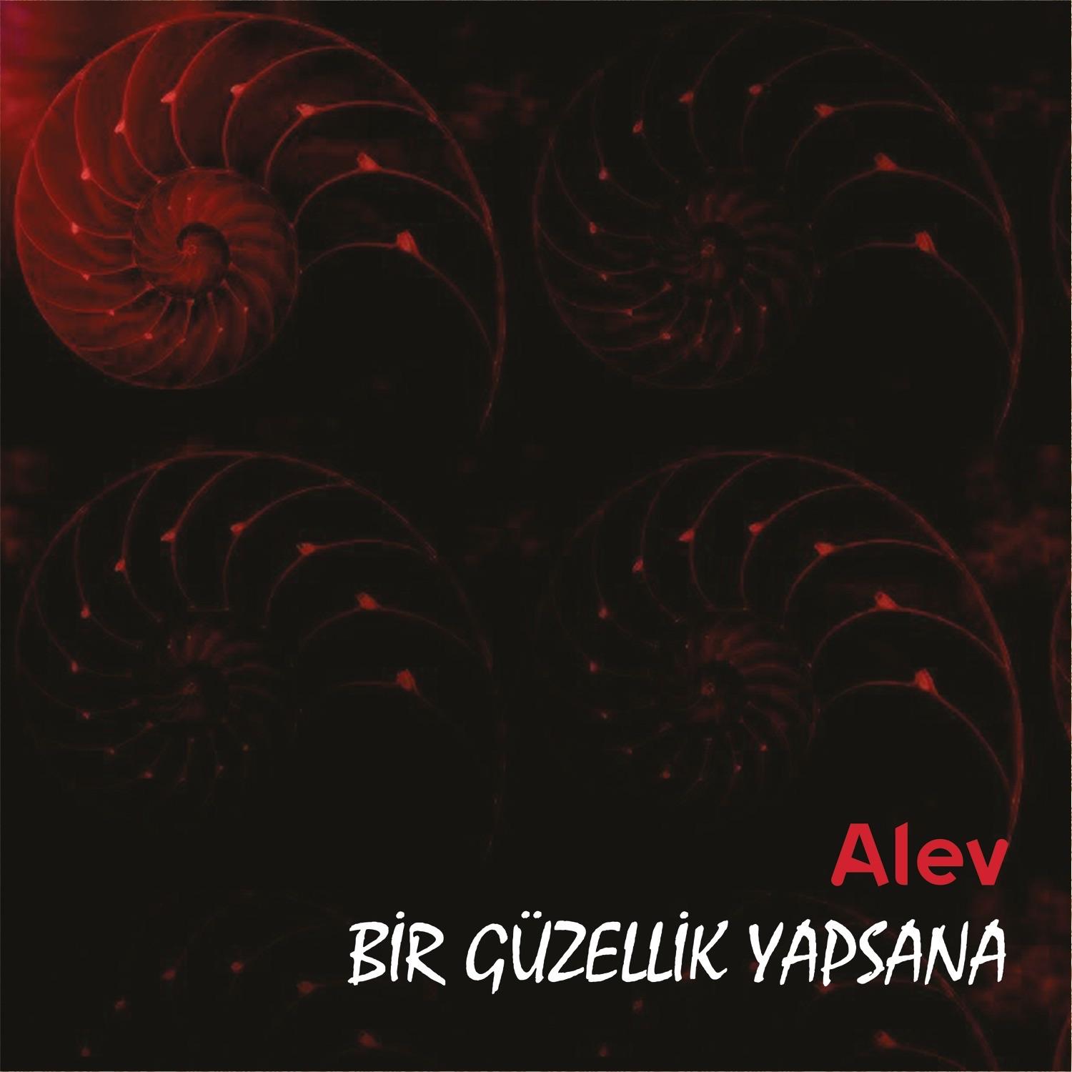 Bir Güzellikyapsana