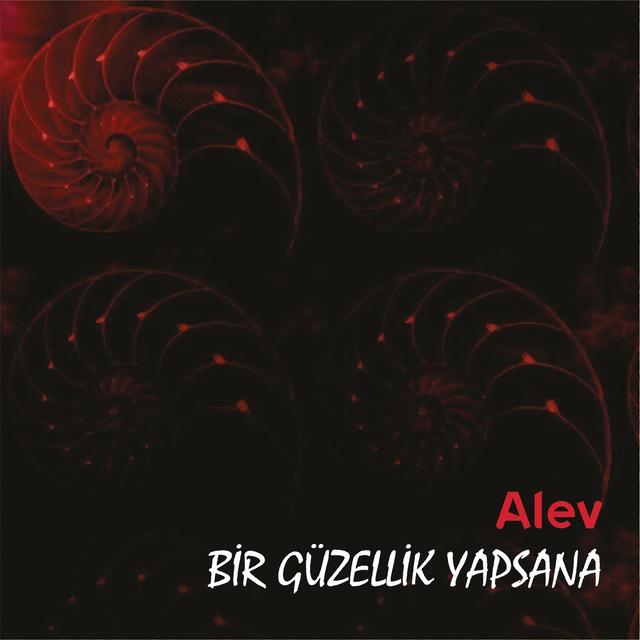 Album cover art for Bir Güzellikyapsana
