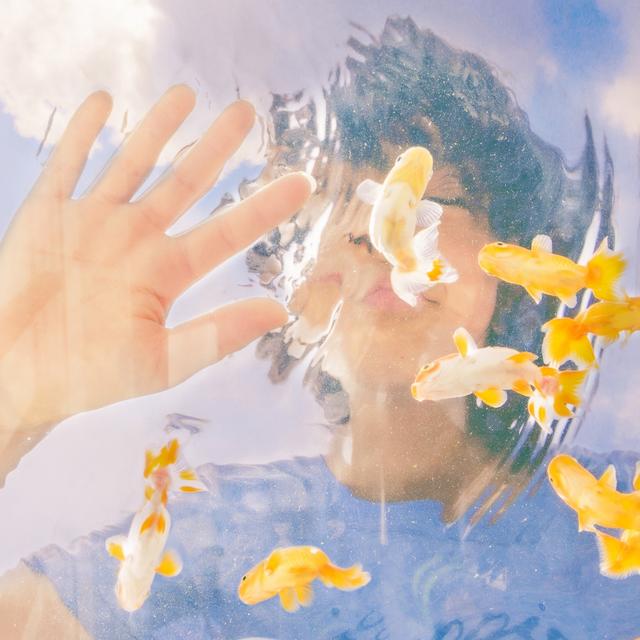 Album cover art for らんちゅう
