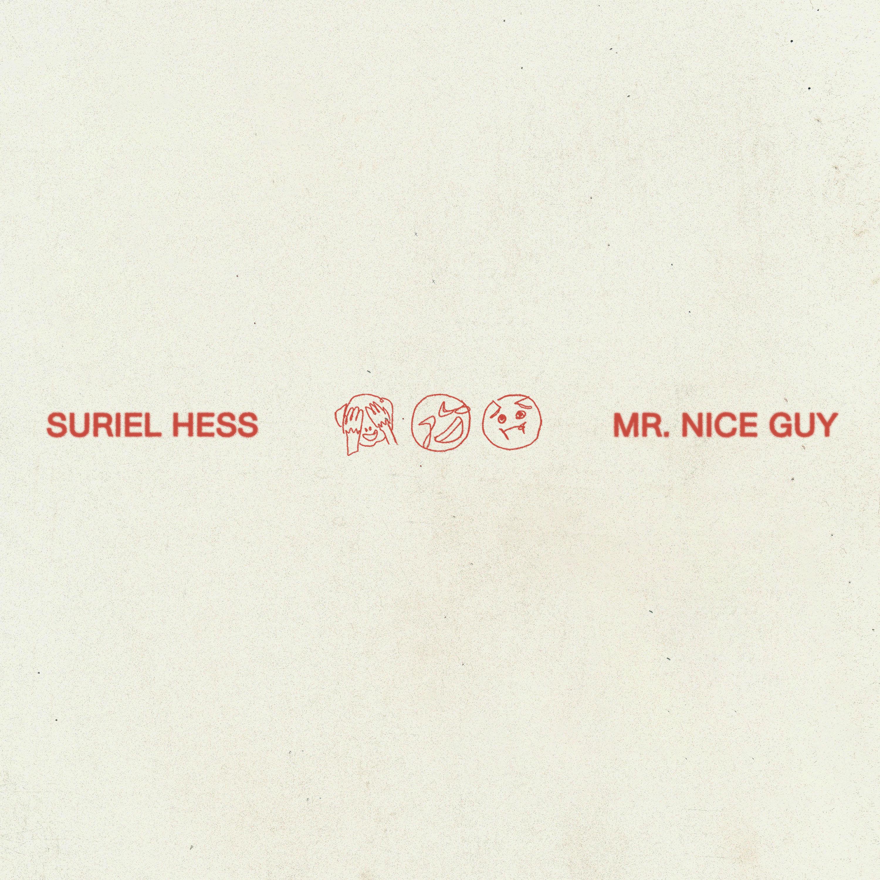 Mr. Nice Guy