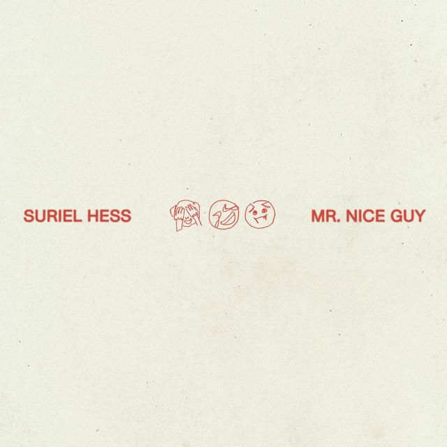 Album cover art for Mr. Nice Guy