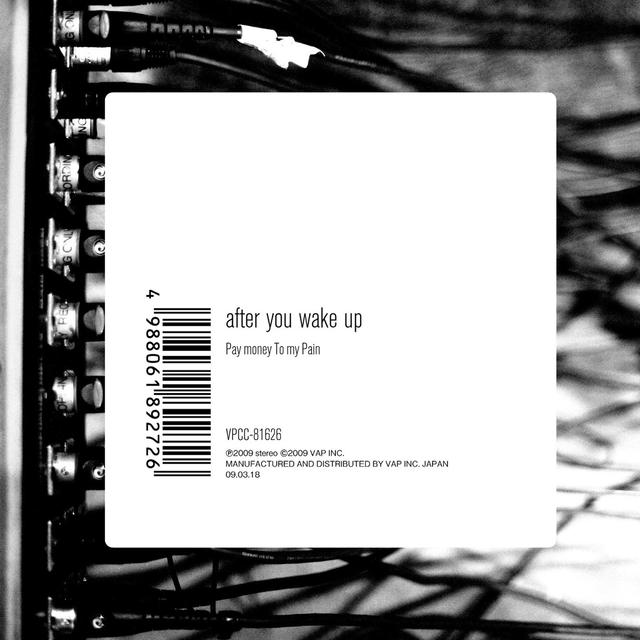 Album cover art for after you wake up