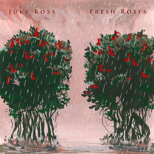 Album cover art for Fresh Roses