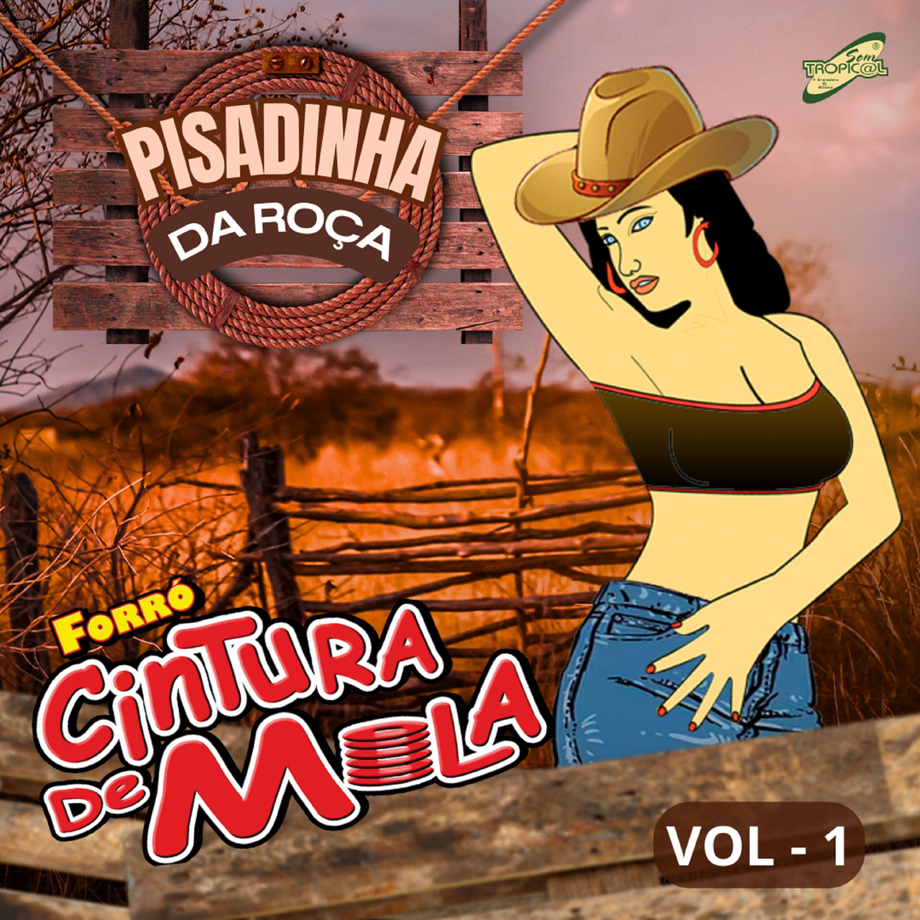 Na Pisadinha da Roça, Vol.1