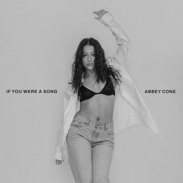 Album cover art for If You Were A Song