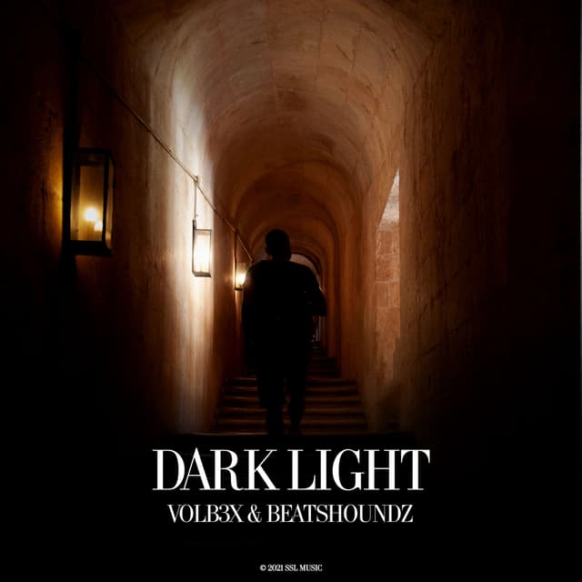 Album cover art for Dark Light