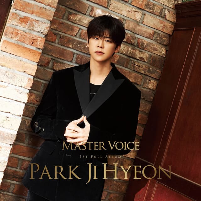 Album cover art for MASTER VOICE