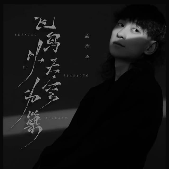 Album cover art for 飞鸟以天空为巢