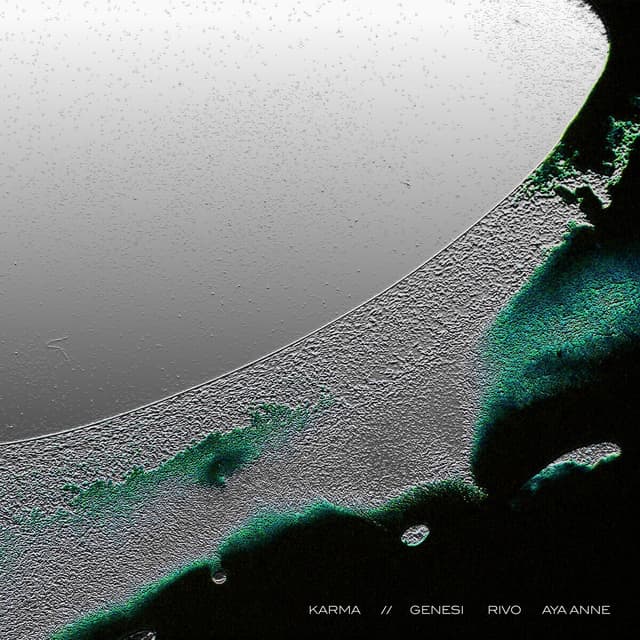 Album cover art for Karma