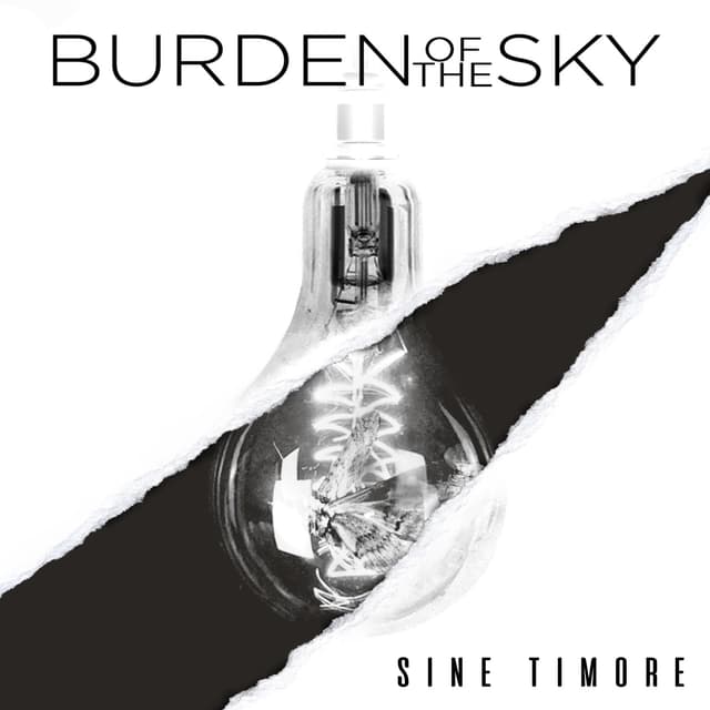 Album cover art for Sine Timore