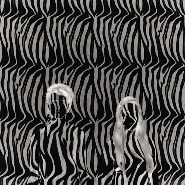Album cover art for Zebra