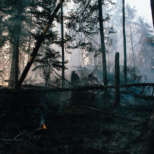 Album cover art for Island Fire