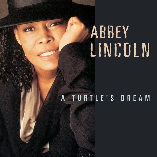 Album cover art for A Turtle's Dream