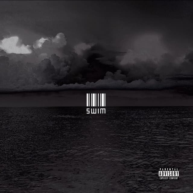 Album cover art for Swim