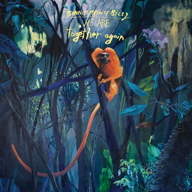 Album cover art for We Are Together Again