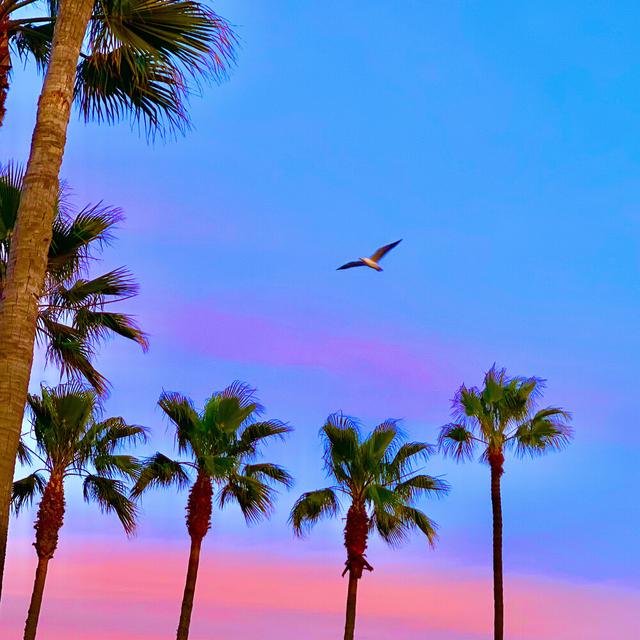 Album cover art for Beauty Fades / Answer