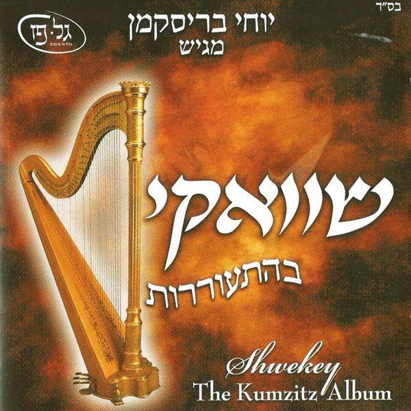 Shwekey Behitorerut