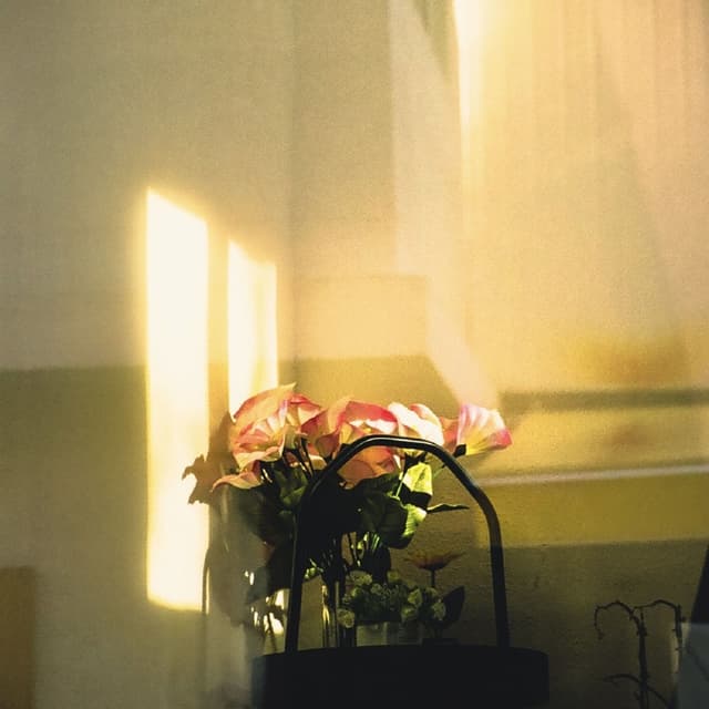 Album cover art for 온기