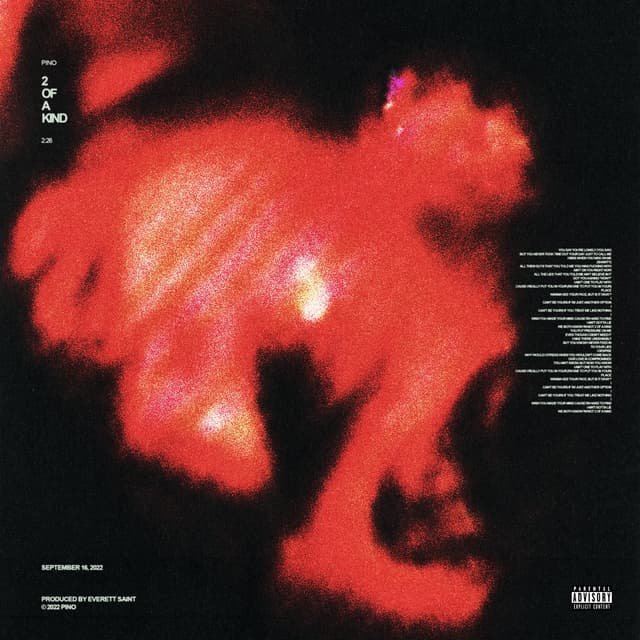 Album cover art for 2 of a kind