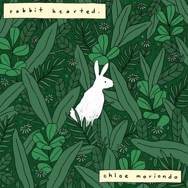 Album cover art for Rabbit Hearted.