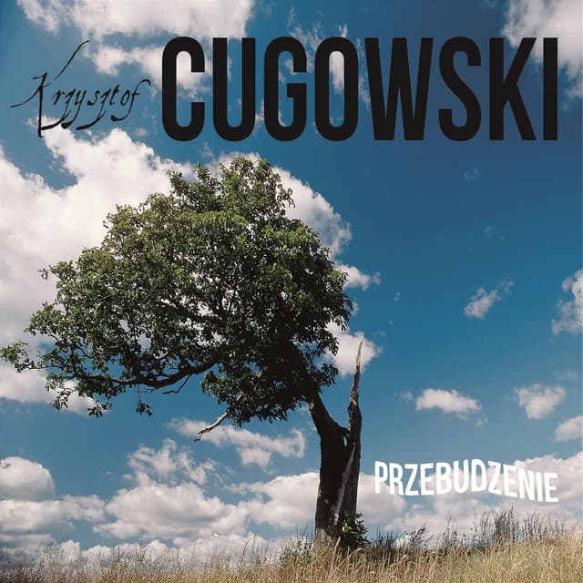 Album cover art for Przebudzenie