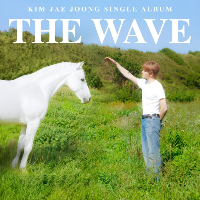 Album cover art for THE WAVE