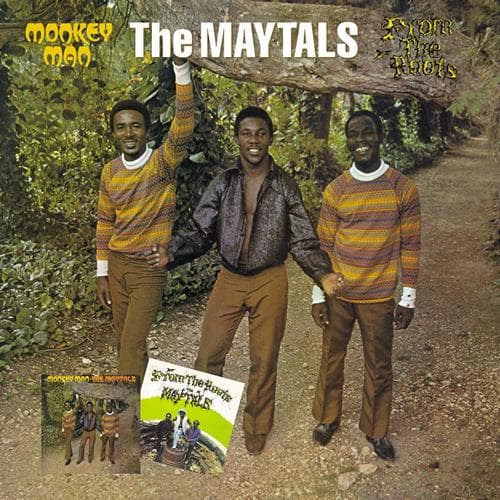 Album cover art for Monkey Man & From the Roots