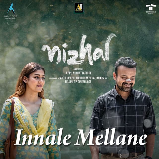 Album cover art for Innale Mellane