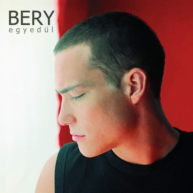 Album cover art for Egyedul