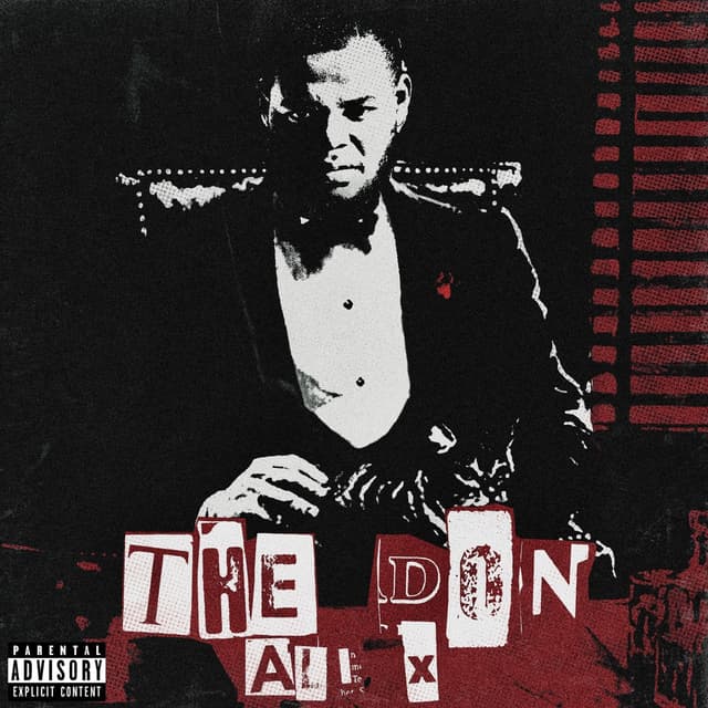 Album cover art for THE DON