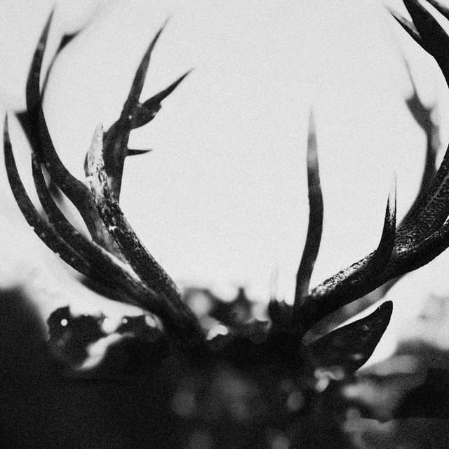 Album cover art for IHSAHN