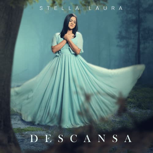 Album cover art for Descansa