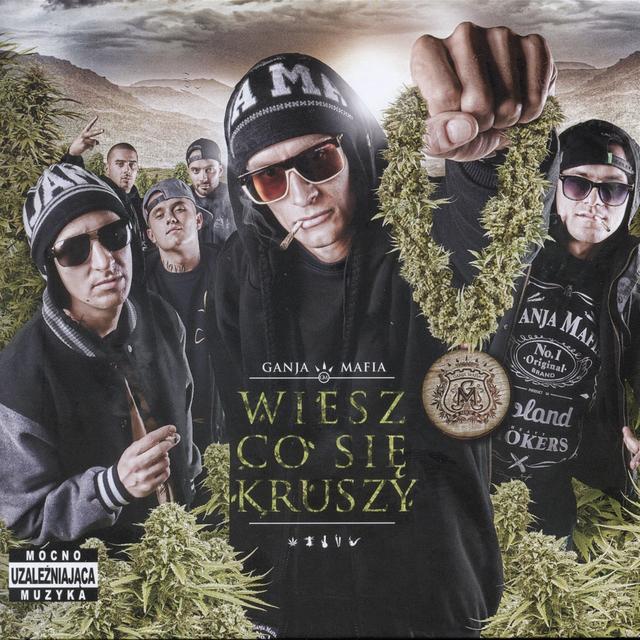 Album cover art for Wiesz Co Się Kruszy