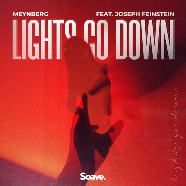 Album cover art for Lights Go Down (feat. Joseph Feinstein)