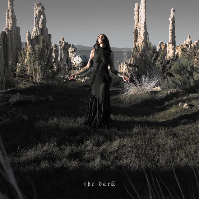 Album cover art for The Dark