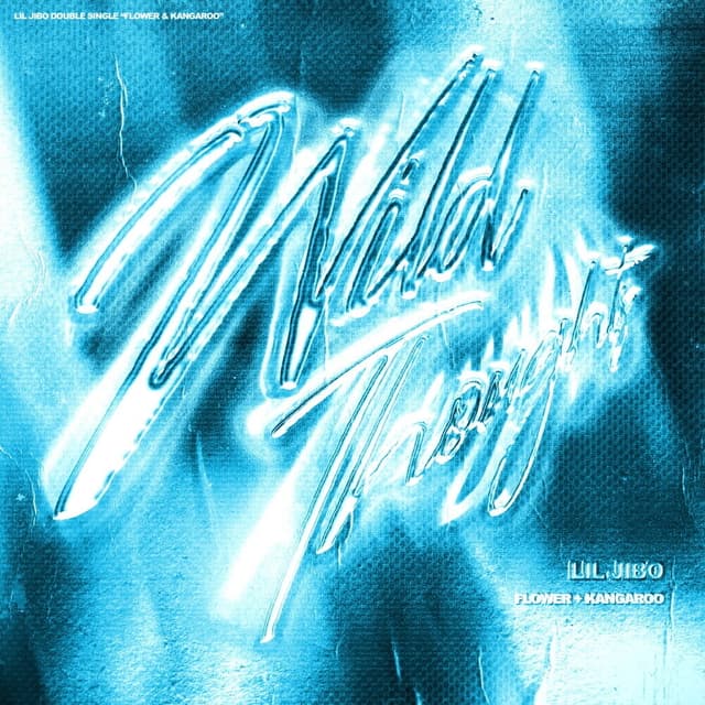 Album cover art for Wild Thoughts