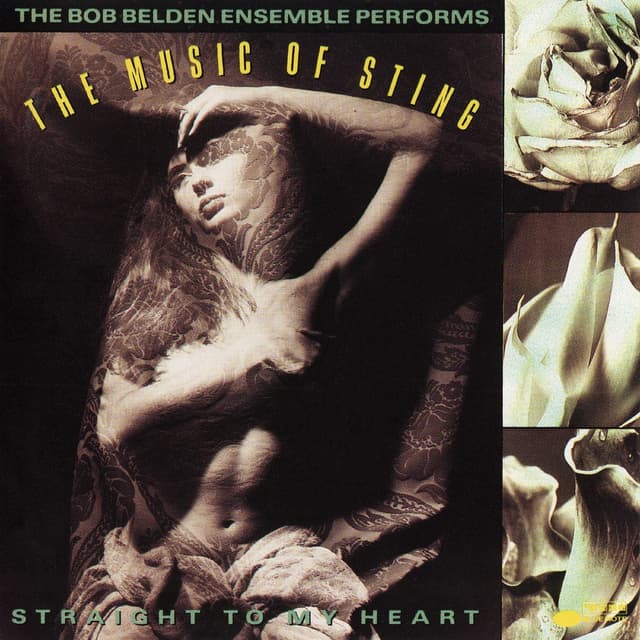 Album cover art for Straight to My Heart: The Music of Sting