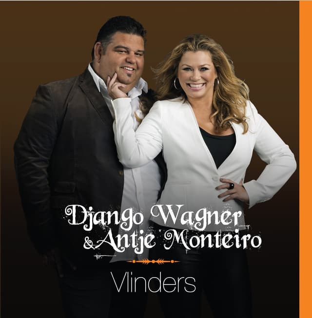 Album cover art for Vlinders