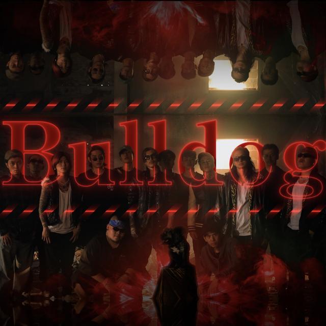 Album cover art for Bulldog