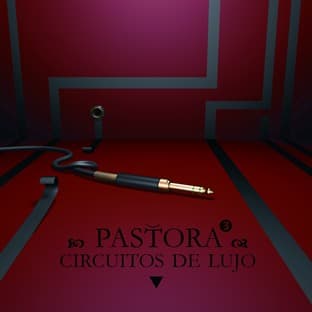 Album cover art for Circuitos de Lujo