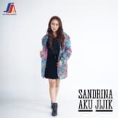 Album cover art for Aku Jijik